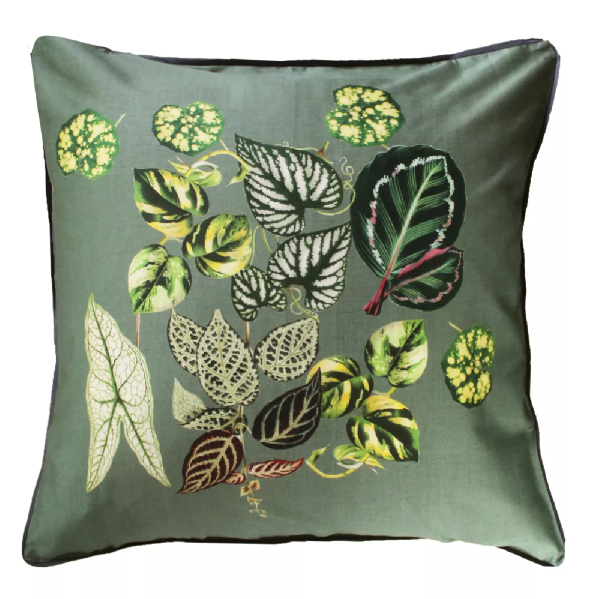 Taie d'oreiller satin de coton imprimé vert Jardin d'hiver sauge