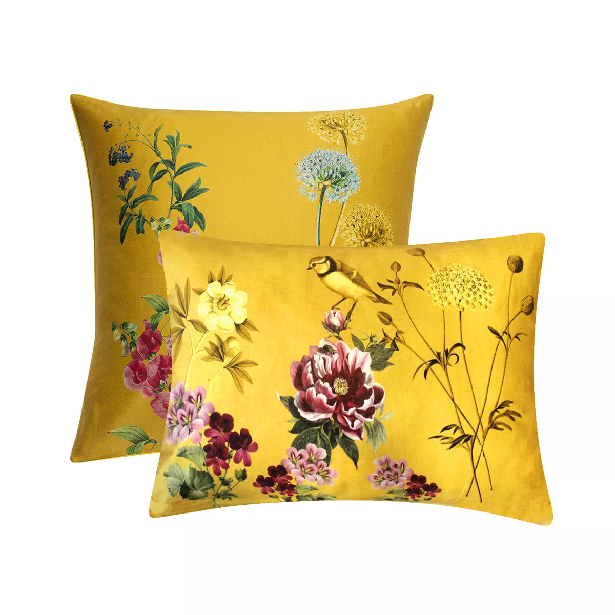 Pillowcase cotton sateen printed yellow Mesanges curry