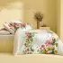 Bed set cotton percale prewashed printed pink yellow Citrons de menton romance