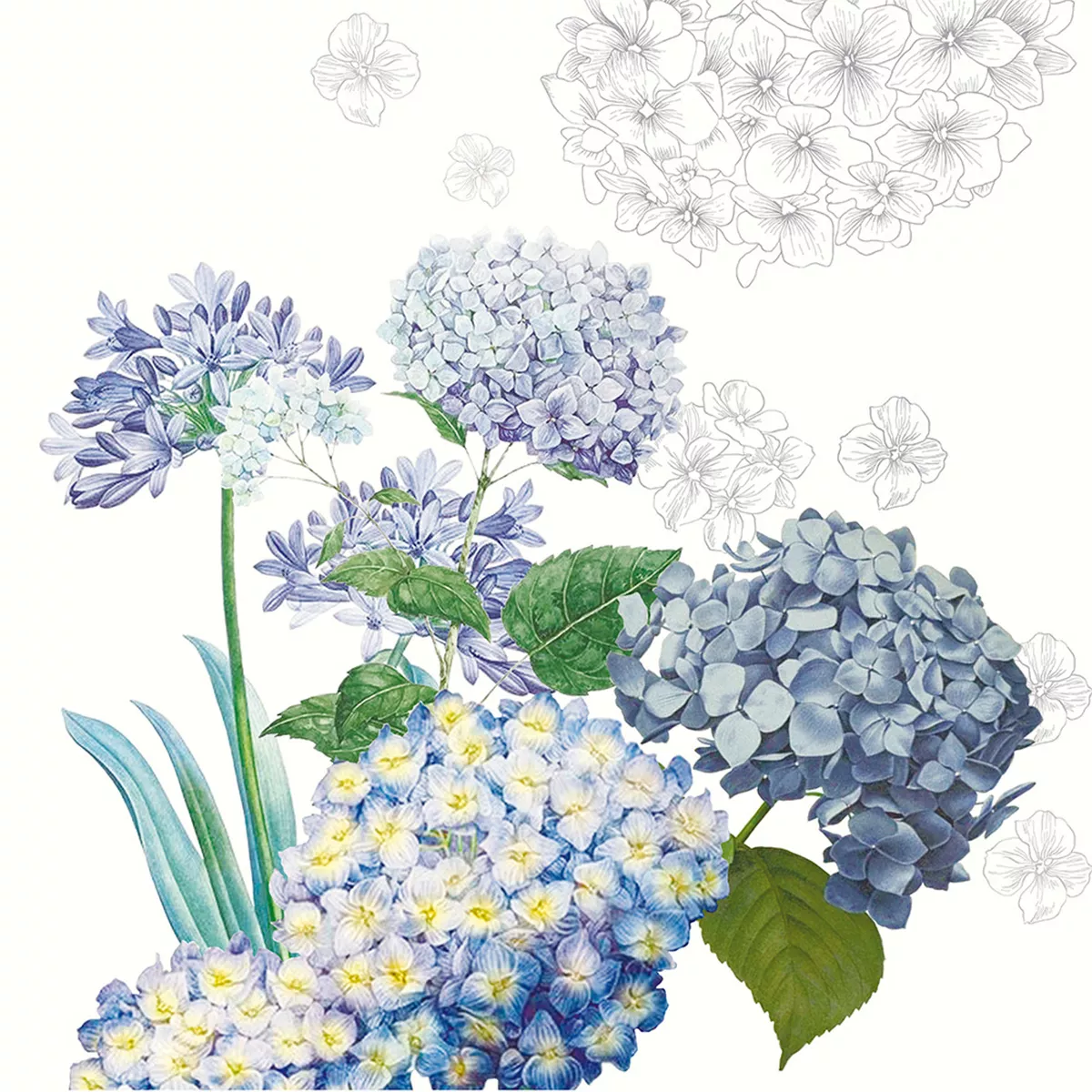Jardin de bretagne bleu