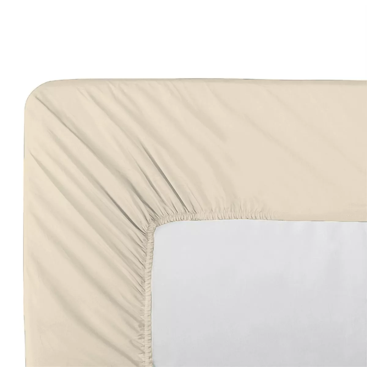 Drap housse b35 cotton percale plain ivory Giulia ivoire