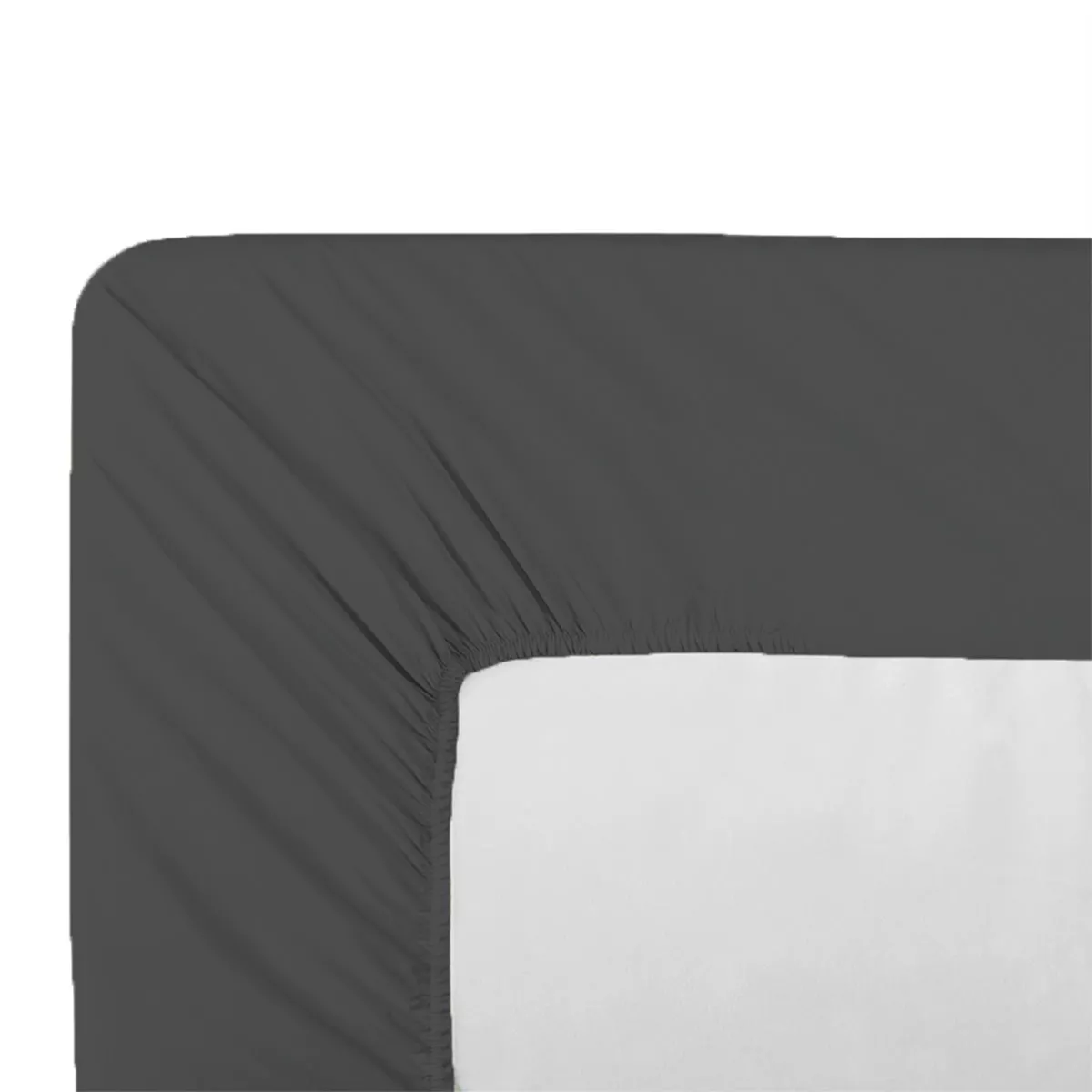 Drap housse b35 perkal-baumwolle uni anthrazit Giulia titane
