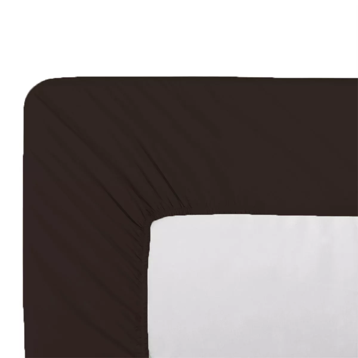 Drap housse b35 cotton percale plain chocolat Giulia chocolat