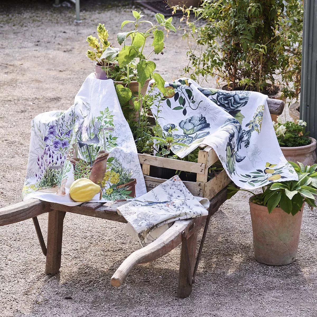 Geschirrtücher halbleinen vorgewaschen 190 g/m² bedruckt mehrfarbig Jardin aromatique provence
